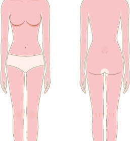 レディース全身